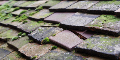 Saffron Walden roof repair costs